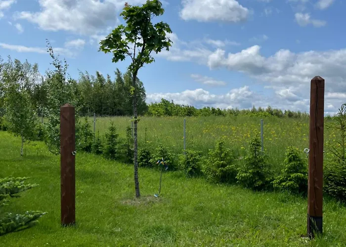 Wypoczynkowy W Brajnikach *